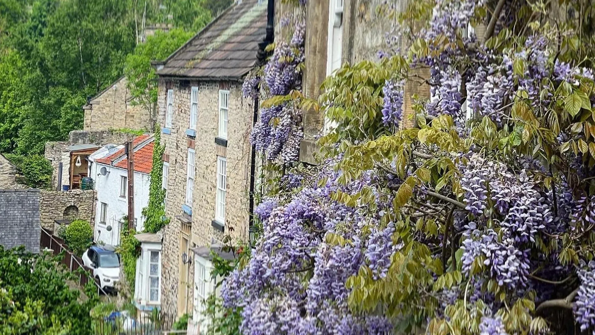 Millgate Fosse Cottage Ричмонд 0*,